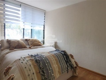 Imagen 12