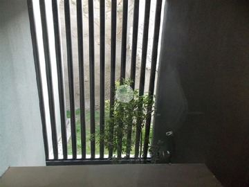Imagen 25