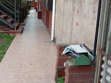 Imagen 13