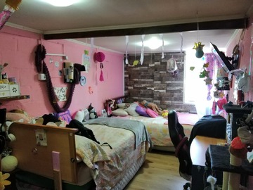 Imagen 13