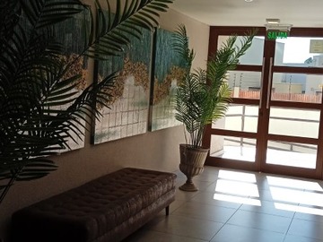 Imagen 21