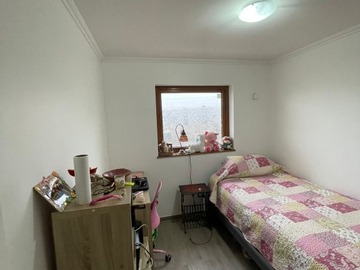 Imagen 11