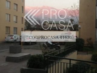 Imagen 8