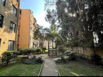 Imagen 6