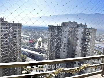 Imagen 13