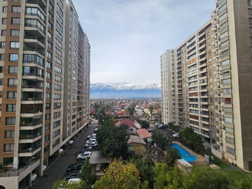 Imagen 5