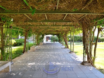 Imagen 22