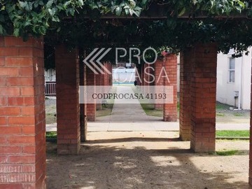 Imagen 15