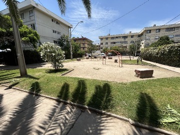 Imagen 13