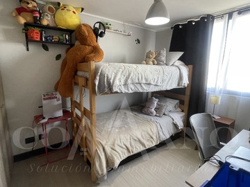 Imagen 12