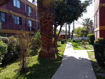 Imagen 18