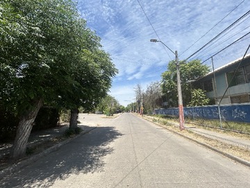 Imagen 5