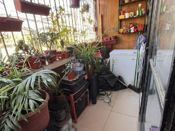 Imagen 6