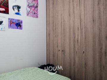 Imagen 12