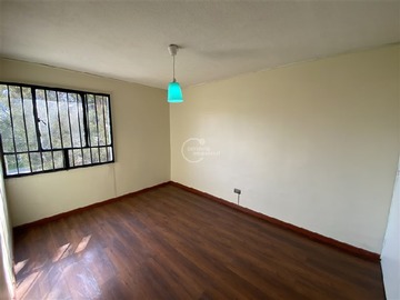 Imagen 15