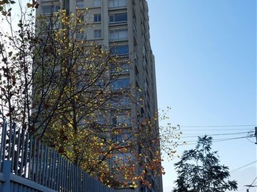 Imagen 20