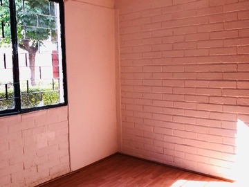Imagen 5