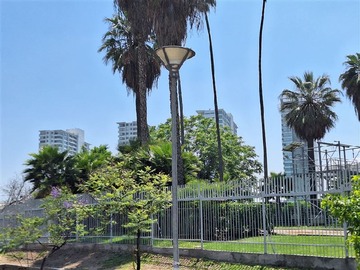 Imagen 26