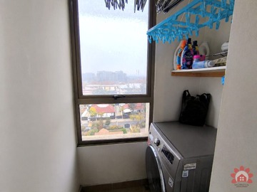 Imagen 13