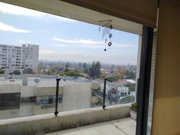 Imagen 11