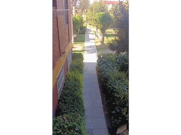 Imagen 10
