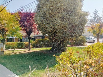 Imagen 9