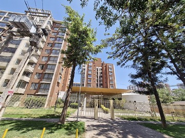Imagen 19