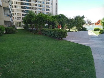 Imagen 21