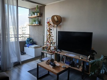 Imagen 5