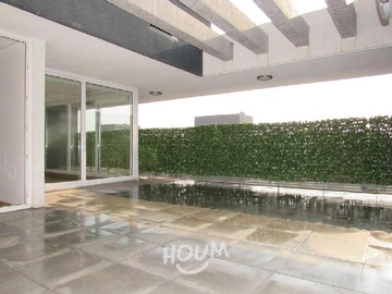 Imagen 13
