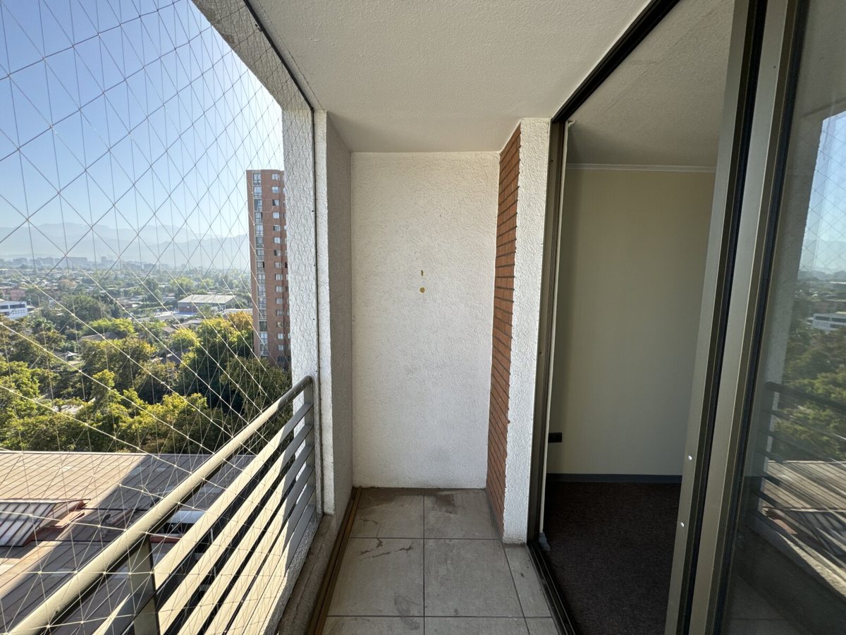 Terraza Living-Comedor