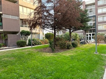Imagen 19
