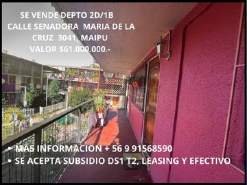 Imagen 15
