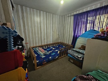 Imagen 14