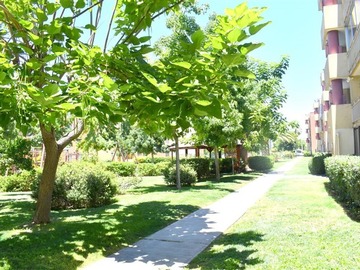Imagen 9
