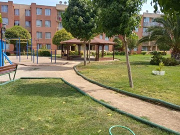 Imagen 11