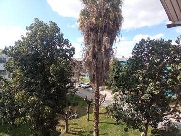 Imagen 16