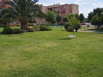 Imagen 13