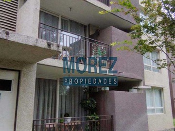 Imagen 20