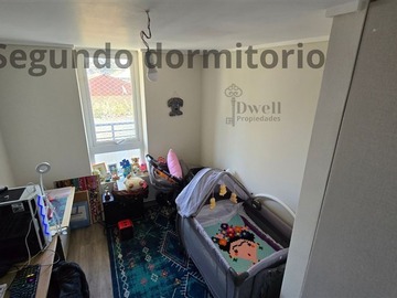 Imagen 5