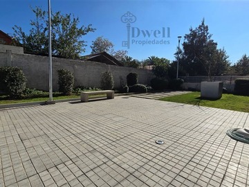 Imagen 26