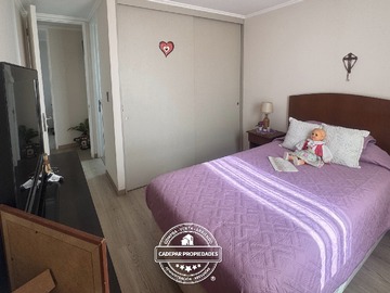 Imagen 5