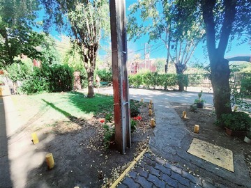 Imagen 14