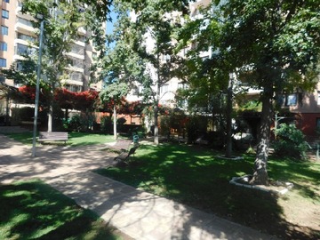 Imagen 27