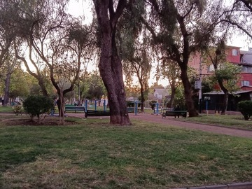 Imagen 3