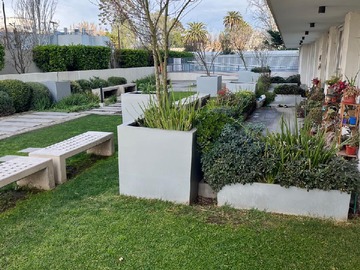 Imagen 8