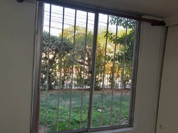 Imagen 11