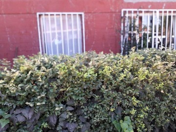 Imagen 11