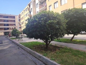 Imagen 19