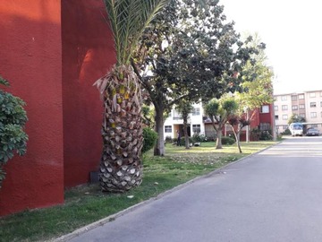 Imagen 17